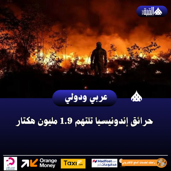 حرائق إندونيسيا تلتهم 1.9 مليون هكتار