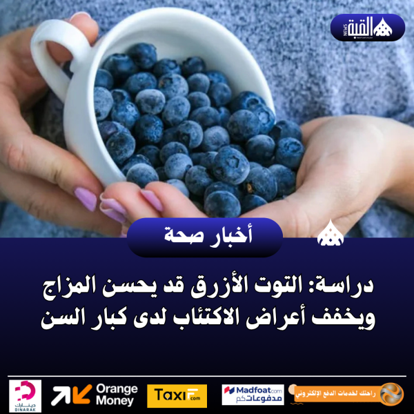 دراسة: التوت الأزرق قد يحسن المزاج ويخفف أعراض الاكتئاب لدى كبار السن