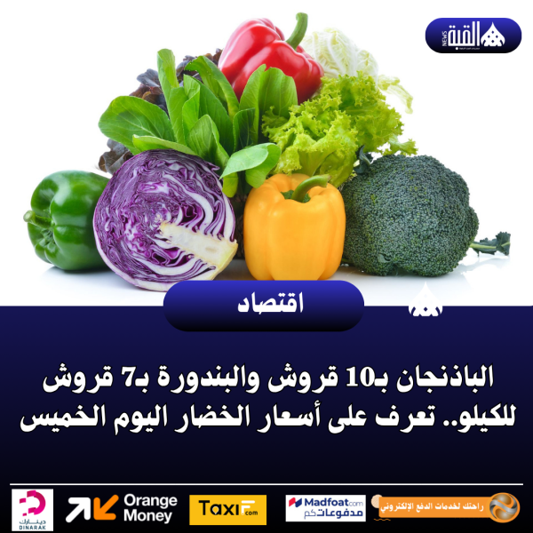الباذنجان بـ10 قروش والبندورة بـ7 قروش للكيلو.. تعرف على أسعار الخضار اليوم الخميس