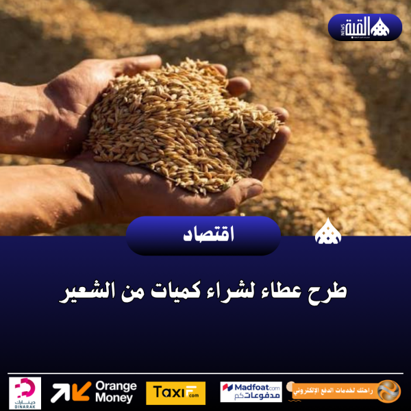 طرح عطاء لشراء كميات من الشعير