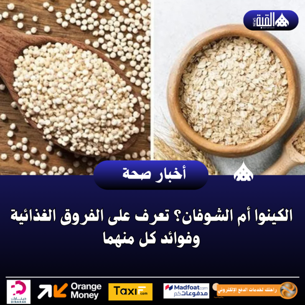 الكينوا أم الشوفان؟ تعرف على الفروق الغذائية وفوائد كل منهما