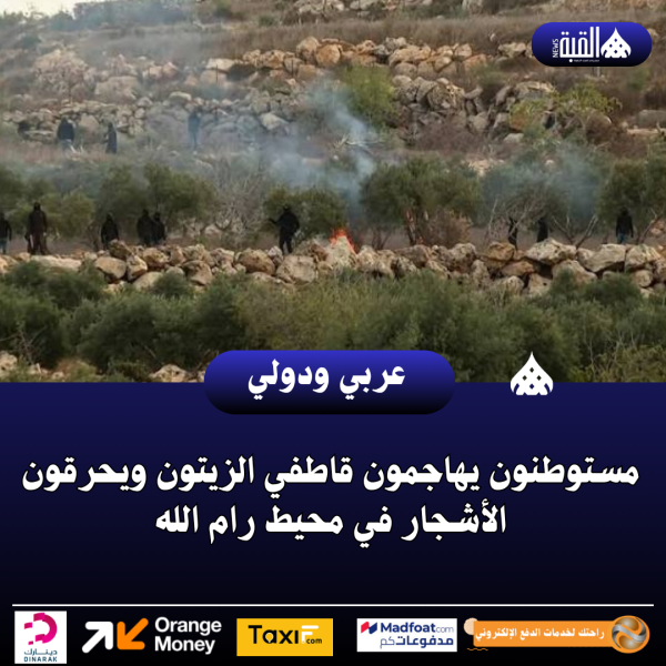 مستوطنون يهاجمون قاطفي الزيتون ويحرقون الأشجار في محيط رام الله