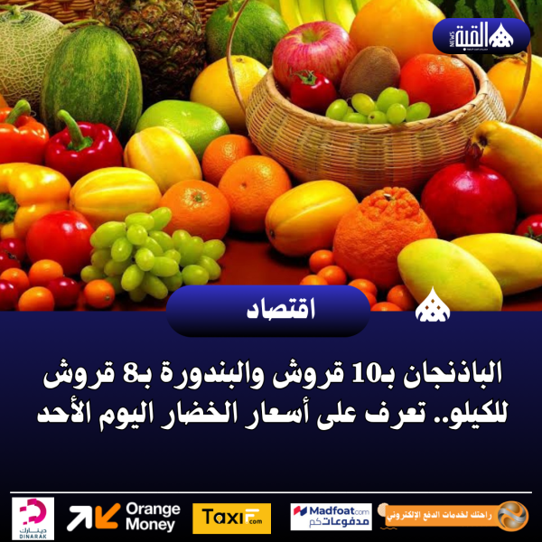 الباذنجان بـ10 قروش والبندورة بـ8 قروش للكيلو.. تعرف على أسعار الخضار اليوم الأحد