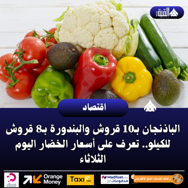 الباذنجان بـ10 قروش والبندورة بـ8 قروش للكيلو.. تعرف على أسعار الخضار اليوم الثلاثاء