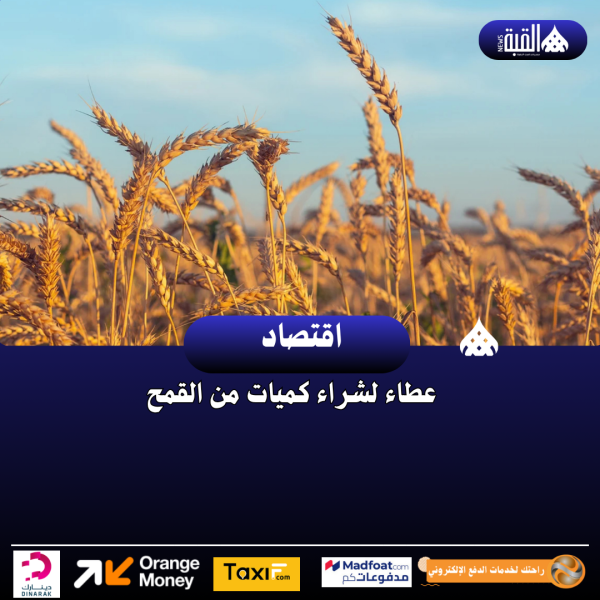 عطاء لشراء كميات من القمح