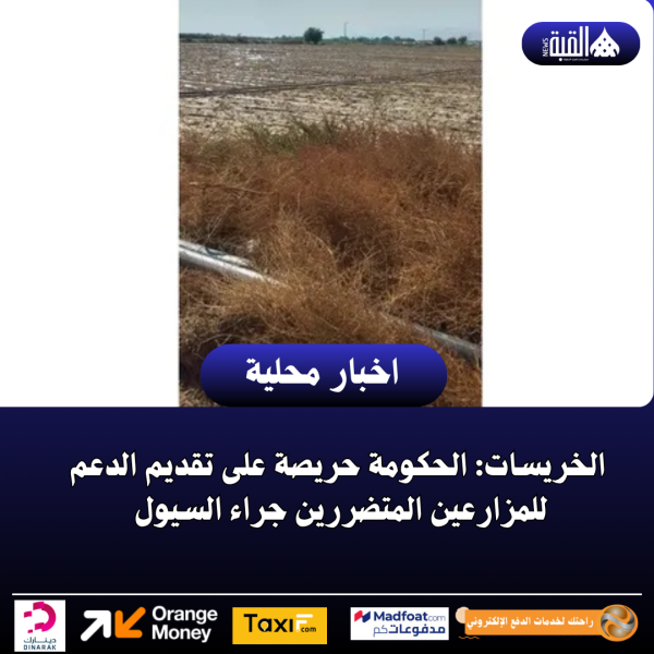 الخريسات: الحكومة حريصة على تقديم الدعم للمزارعين المتضررين جراء السيول