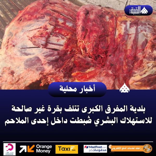 بلدية المفرق الكبرى تتلف بقرة غير صالحة للاستهلاك البشري ضُبطت داخل إحدى الملاحم