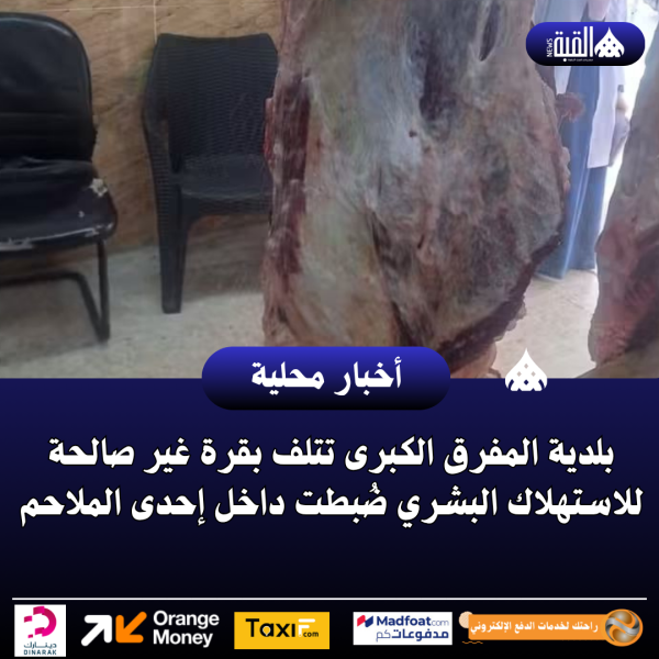 بلدية المفرق الكبرى تتلف بقرة غير صالحة للاستهلاك البشري ضُبطت داخل إحدى الملاحم