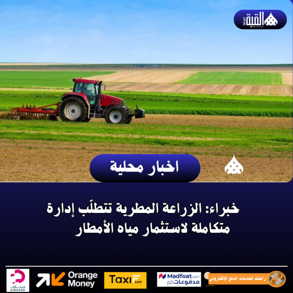 خبراء: الزراعة المطرية تتطلّب إدارة متكاملة لاستثمار مياه الأمطار