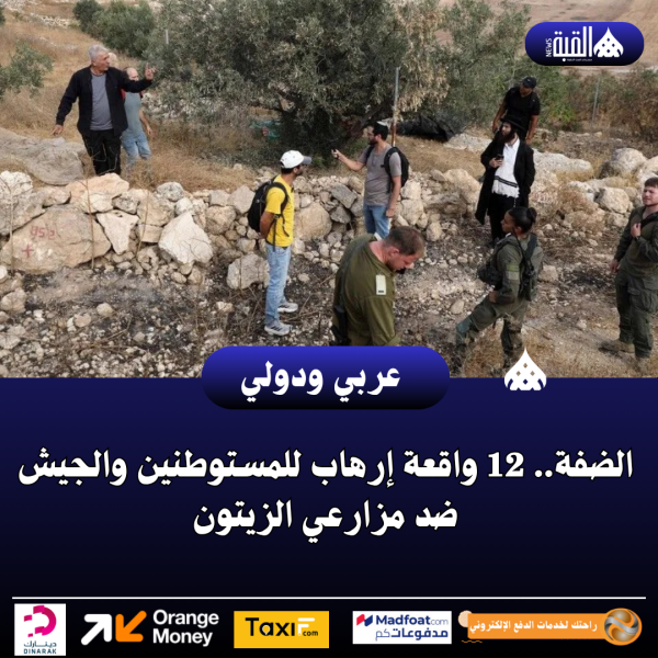 الضفة.. 12 واقعة إرهاب للمستوطنين والجيش ضد مزارعي الزيتون