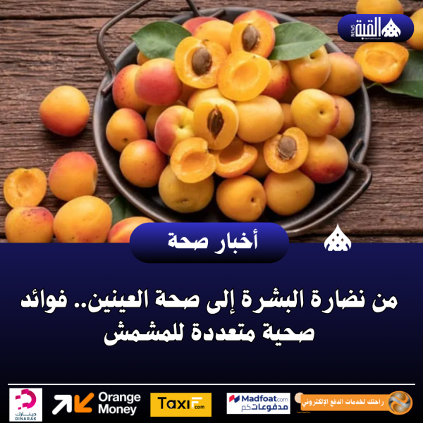 من نضارة البشرة إلى صحة العينين.. فوائد صحية متعددة للمشمش